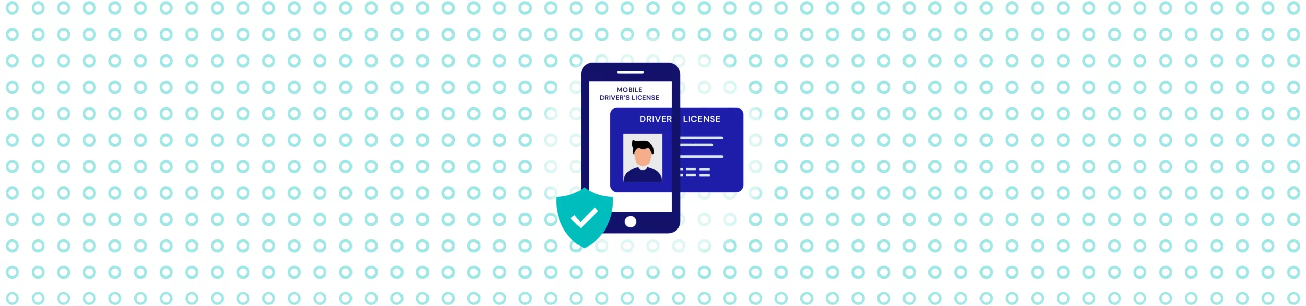 How to verify MDLS_ Step-by-step process